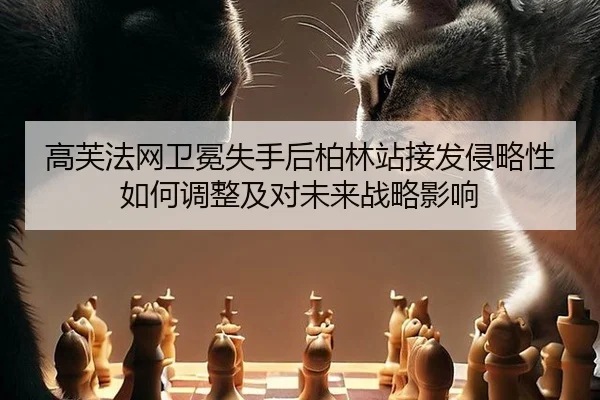 gao-fu-fa-wang-wei-mian-shi-shou-hou-bo-lin-zhan-jie-fa-qin-lve-xing-ru-he-tiao-zheng-ji-dui-wei-lai-zhan-lve-ying-xiang-2-949.jpg