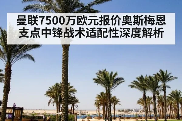 曼联7500万欧元报价奥斯梅恩支点中锋战术适配性深度解析